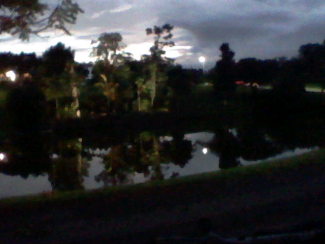 A lake. Trees are seen at the other side of the lake, which are illuminated with bright ground lamps. This picture is taken with a 3DS camera, which makes the image appear dim. The light of a lamp post is reflected in the water. The color of the sky is a bright unsaturated pink and mostly cloudy.