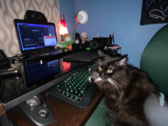 A black cat sitting on a green chair with its paws on a keyboard.