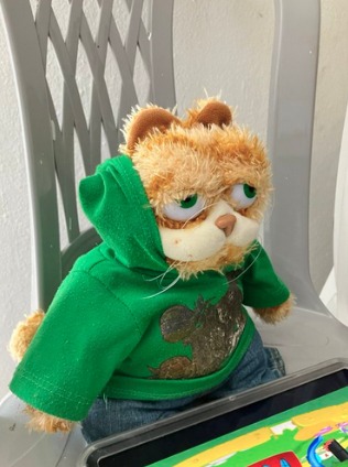 A bootleg looking garfield plush with a green hoodie on. On his lap is an ipad playing fucking micky mouse clubhouse. I never noticed that at time of photograph.